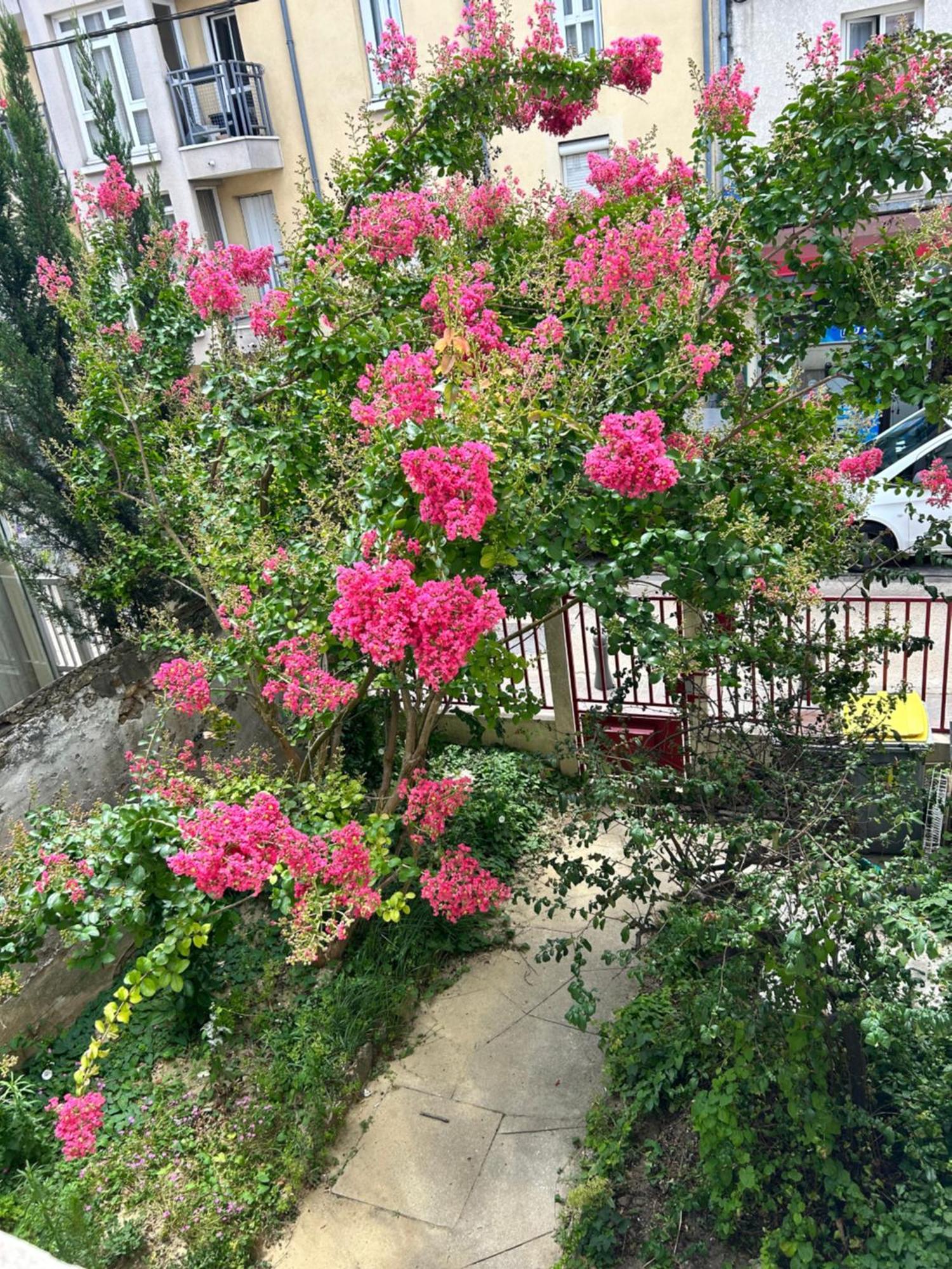 F3 Au Grenier D'Une Maison 메시 외부 사진