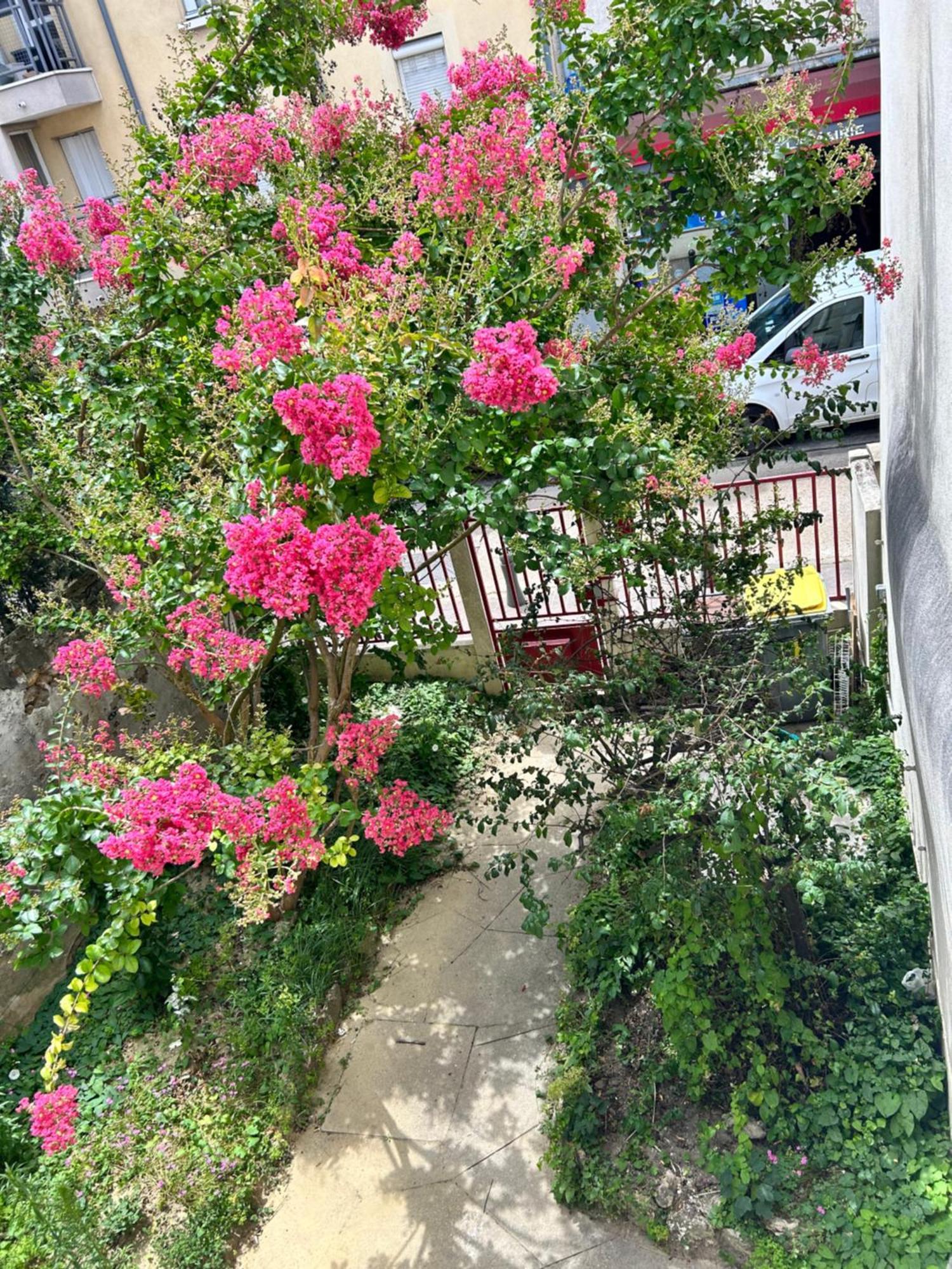 F3 Au Grenier D'Une Maison 메시 외부 사진